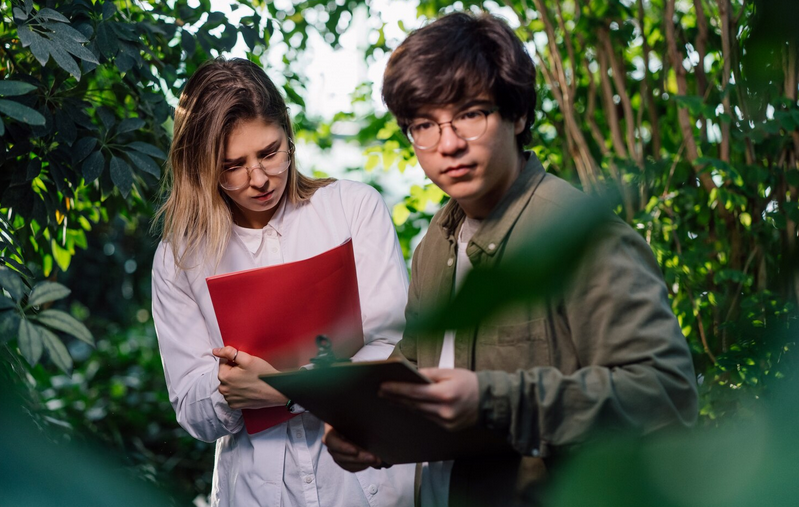 Comment procéder à un audit environnemental ? Strasbourg