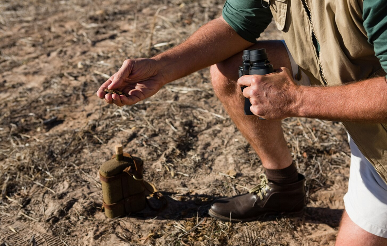 Diagnostics pollution du sol, Grand Est