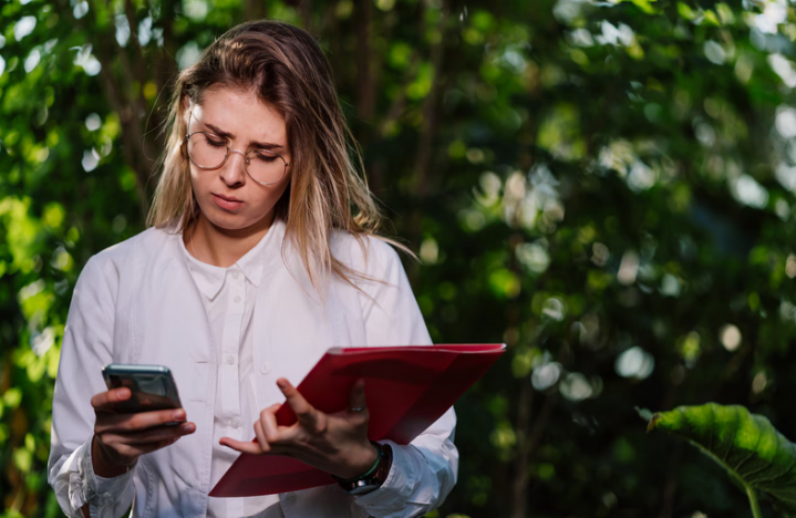 Audit environnemental à Strasbourg
